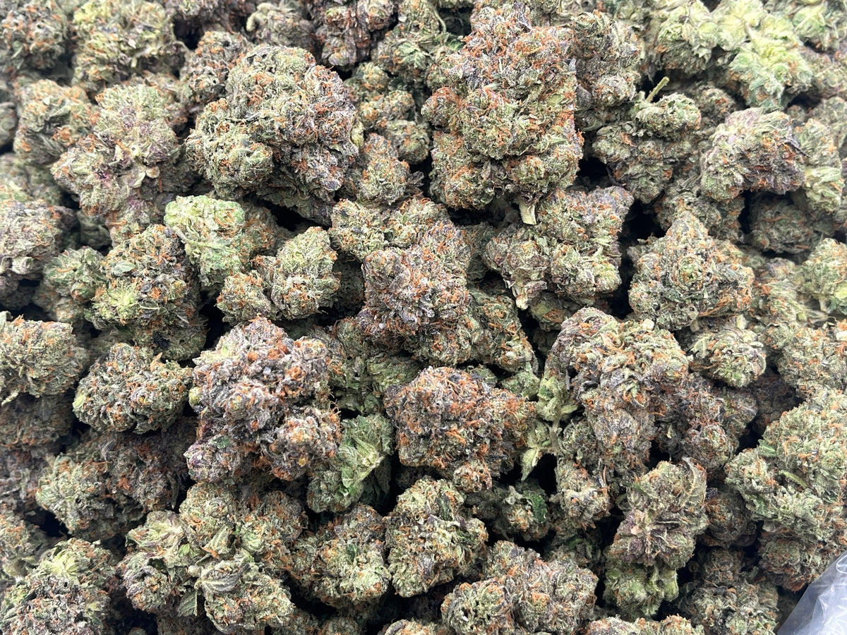 Purple Chem (Indoor Plus) bag photo