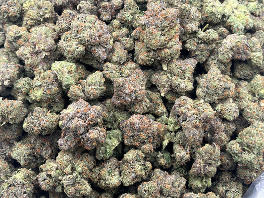 Purple Chem (Indoor Plus) bag photo