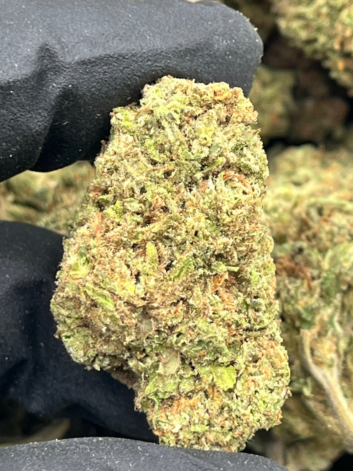 Pop Tartz (Deps) supplier nug photo