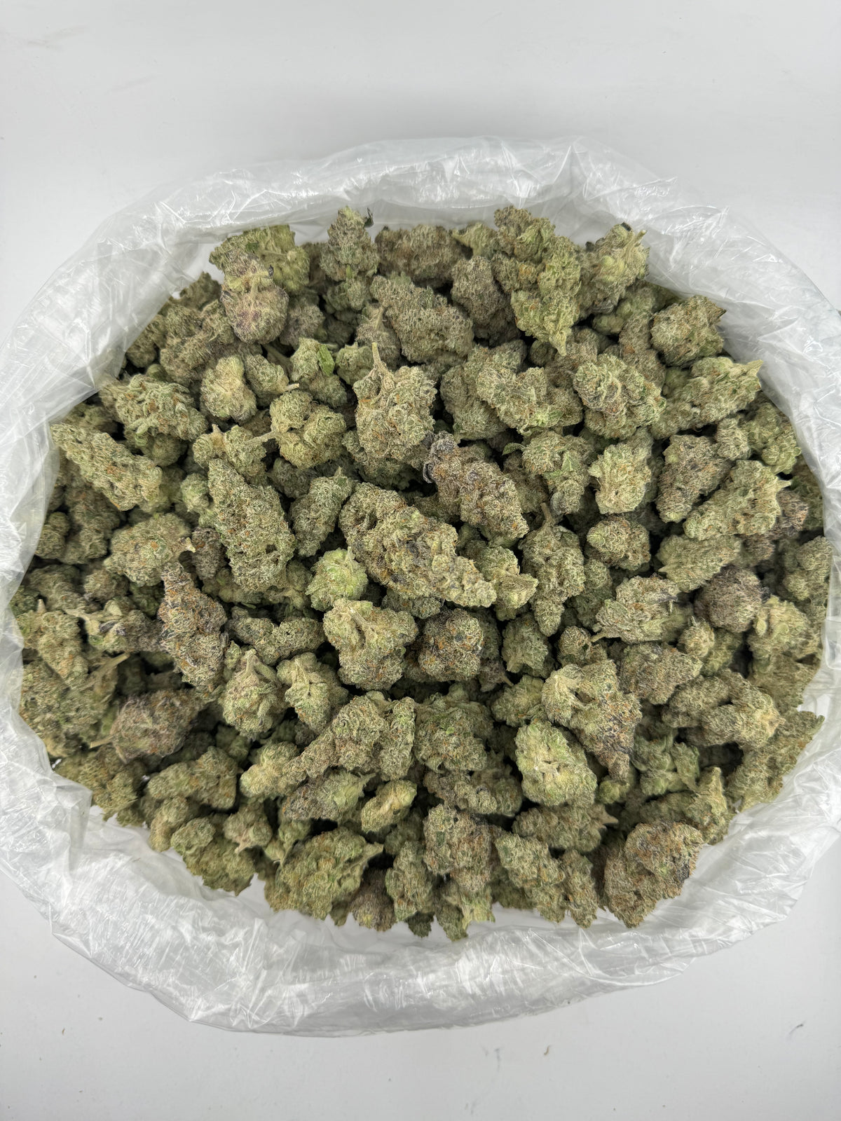 Animal Mintz (Indoor Plus) supplier bag photo