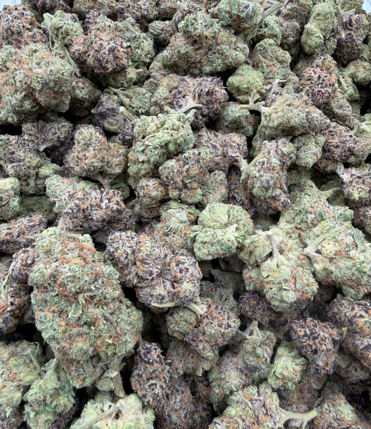 Purple Crack (Indoor) bag photo