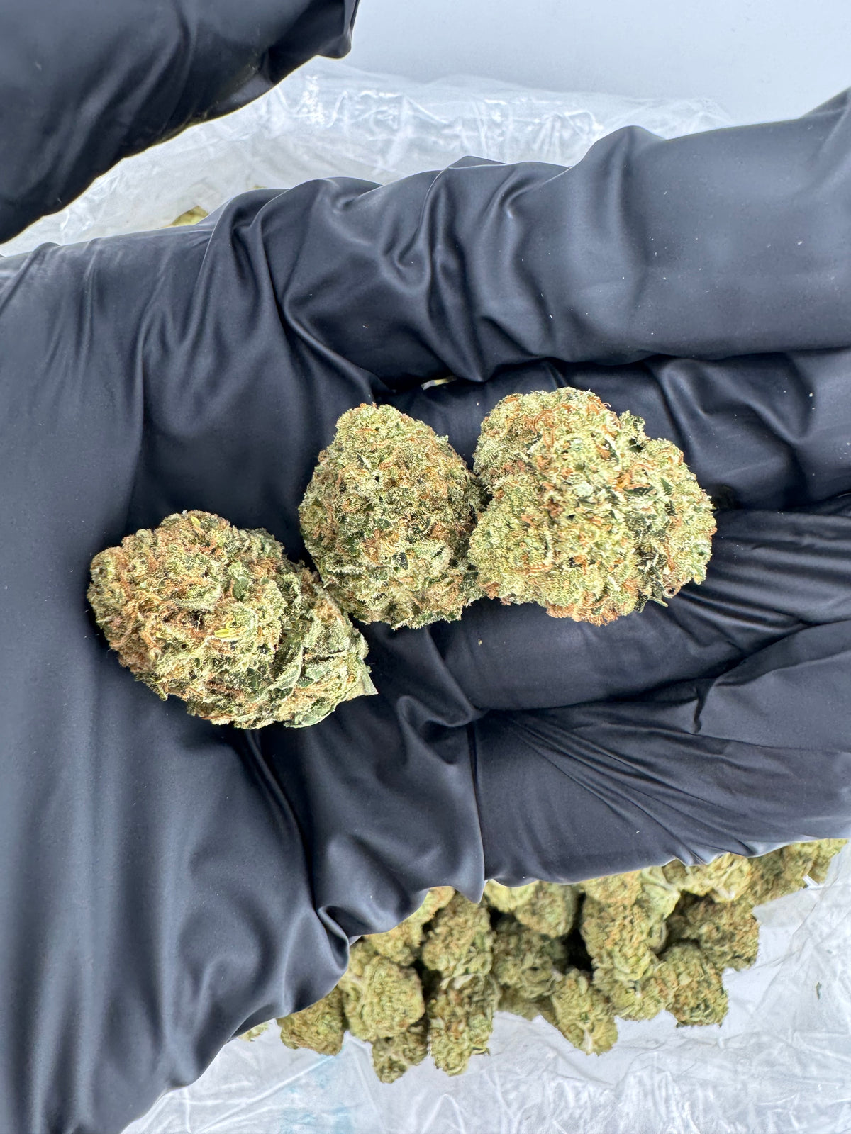 Heavy OG nugs photo