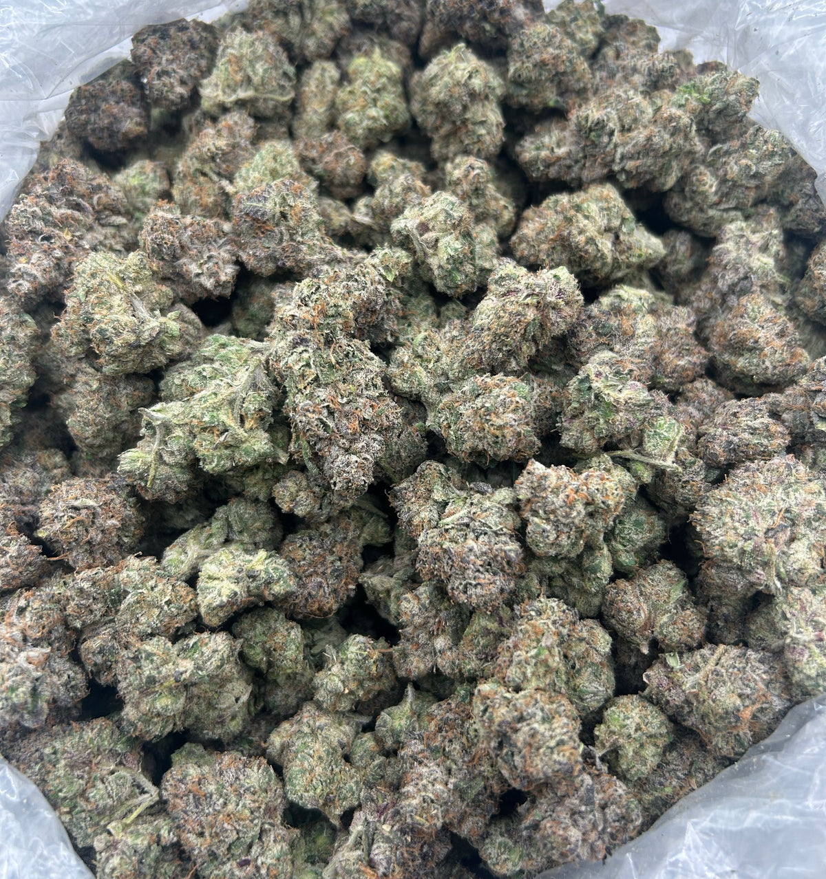 Cherry Gushers (Indoor Plus) bag photo