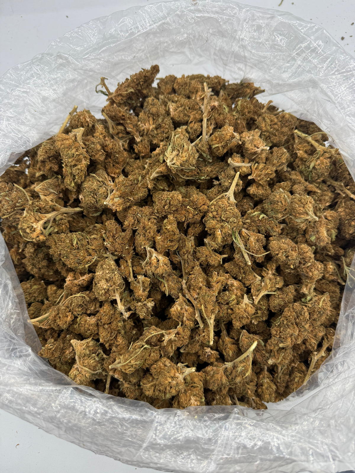 Cherry Whip bag photo