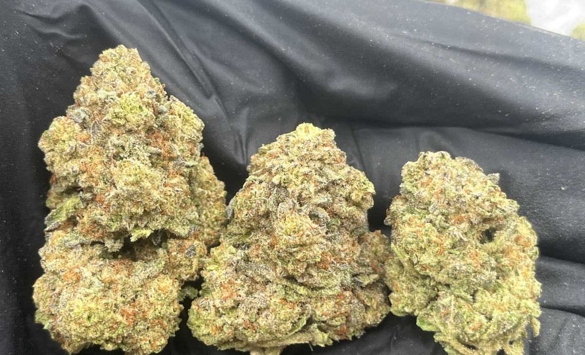 Twice Baked (Deps) flower photo