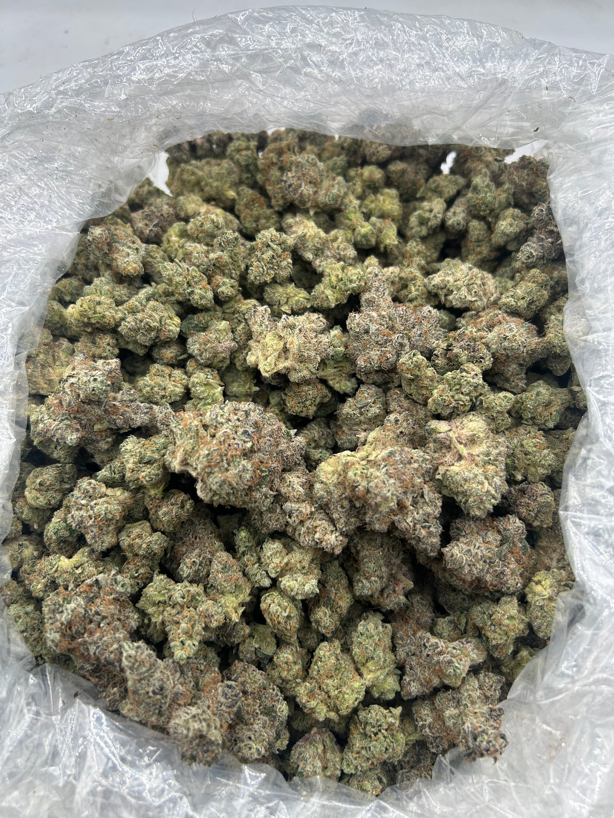 Lung Buster (Indoor Plus) bag photo