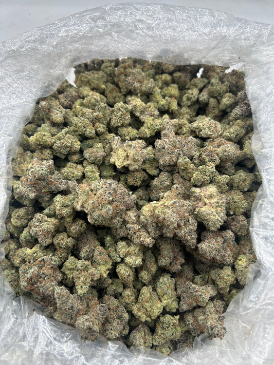 Lung Buster (Indoor Plus) bag photo