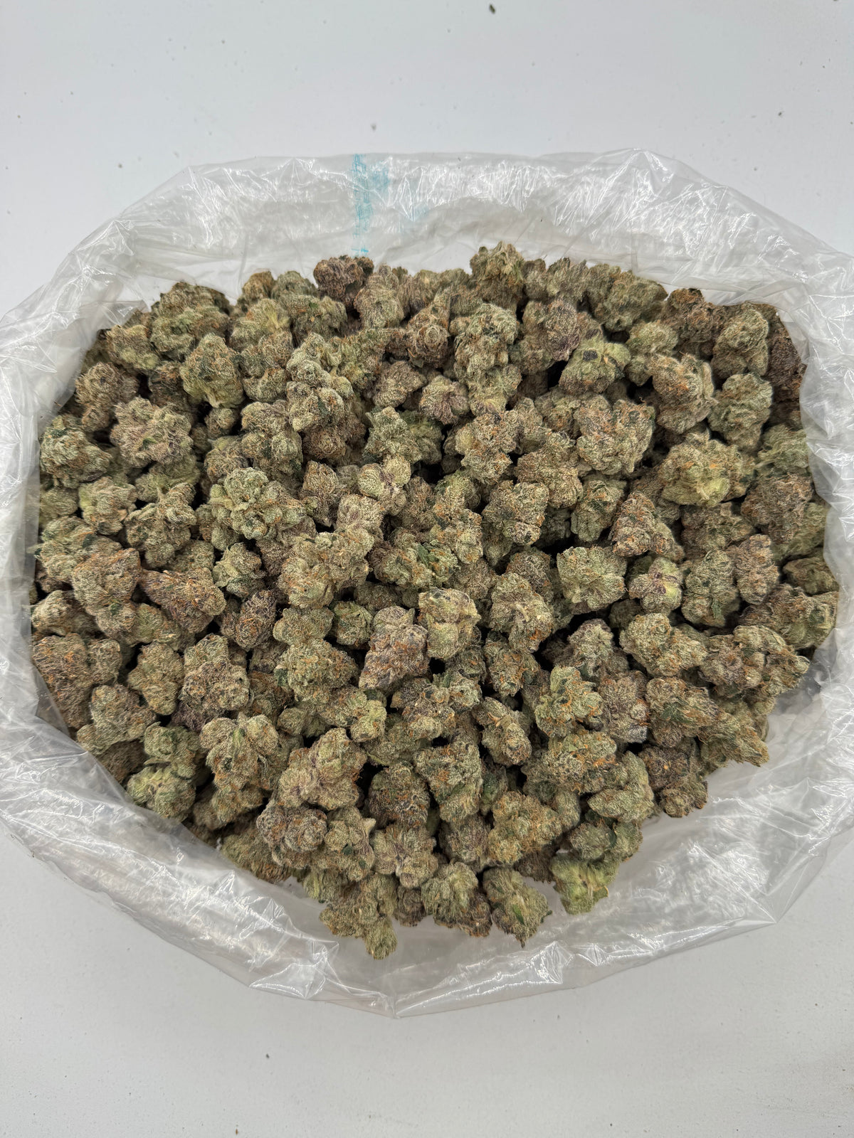 White Cherry Gelato (Indoor) supplier bag photo