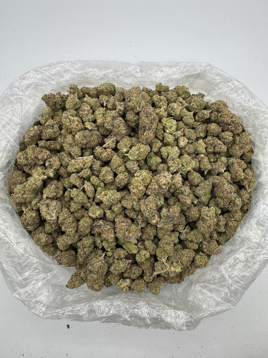 Gelato 31 (Indoor) bag