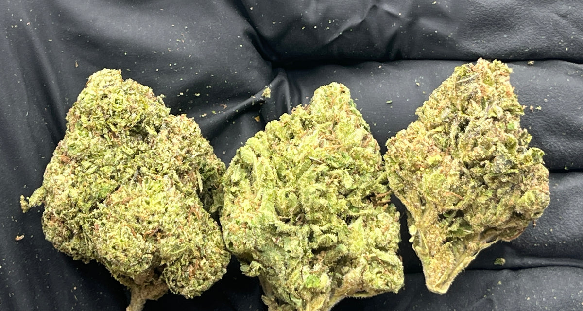 Pop Rocks (Deps) flower photo