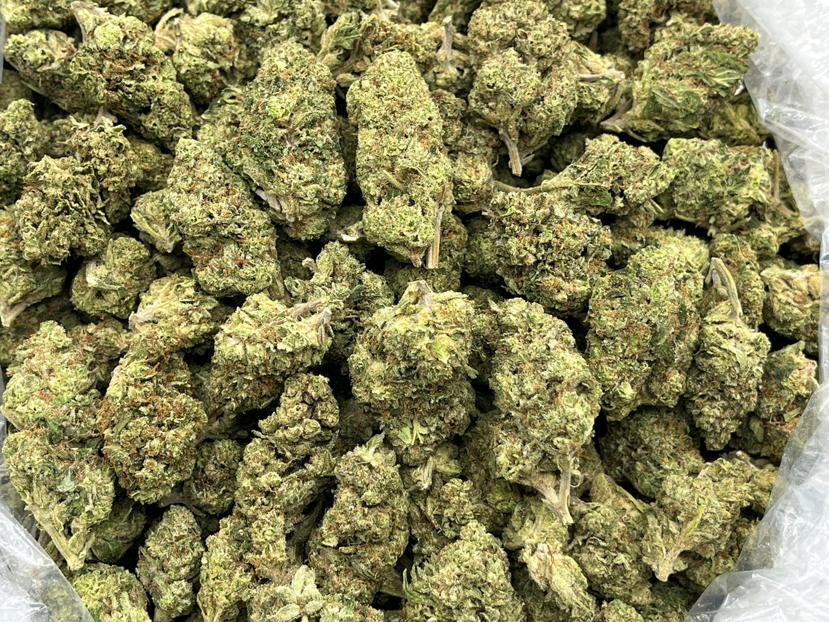 Ghost Train Haze (Deps) supplier bag photo