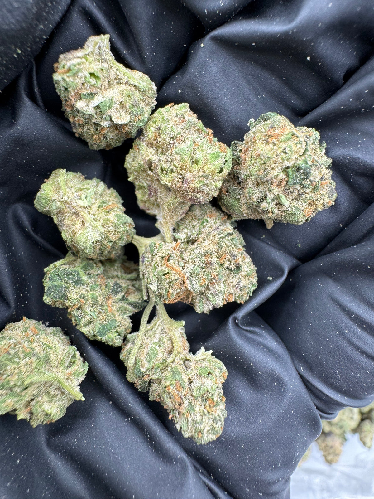 Silver Haze (Smalls) flower photo