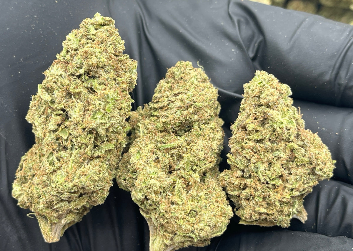 Super Lemon Haze flower photo