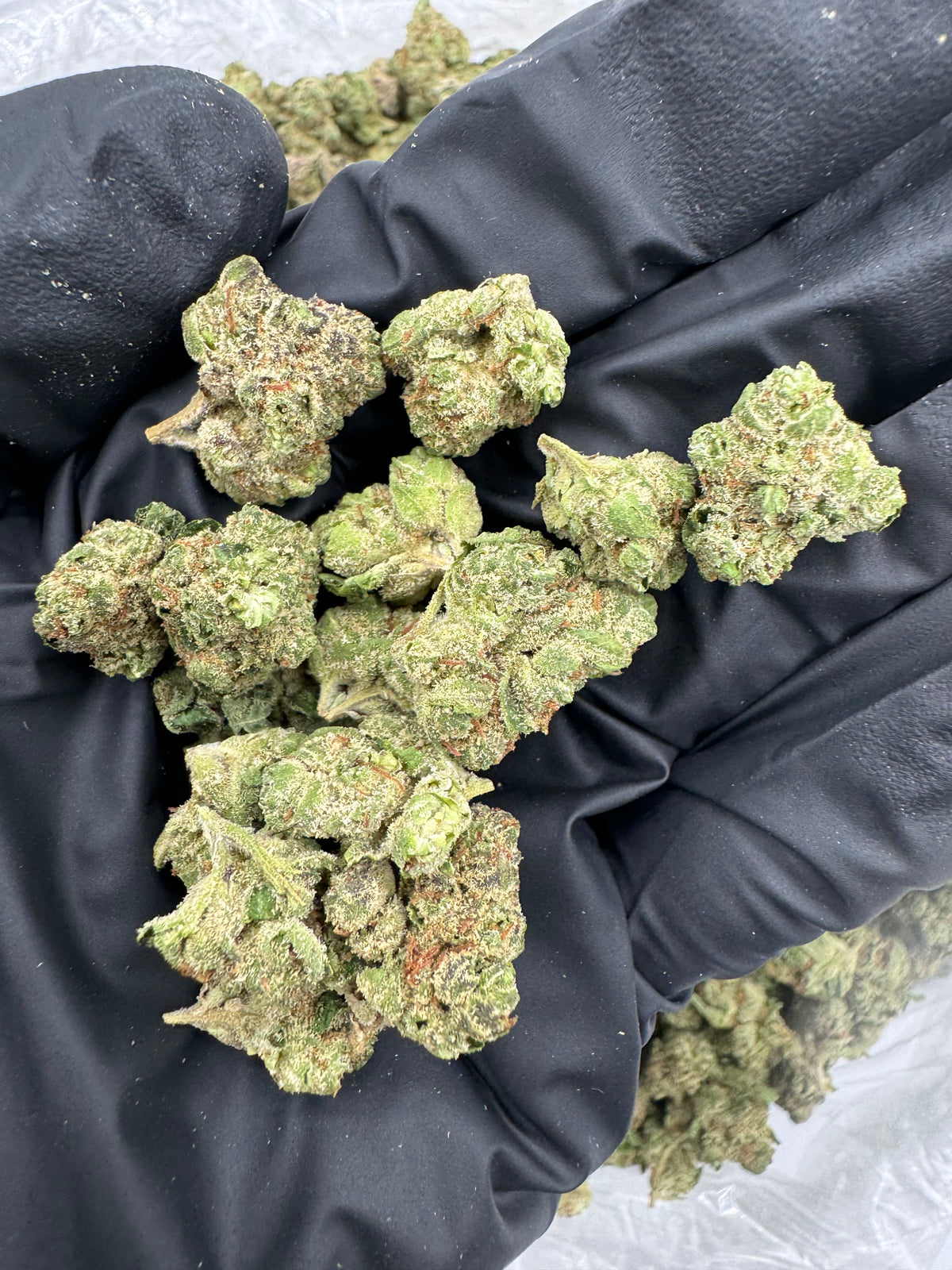 LCG (Smalls) flower photo