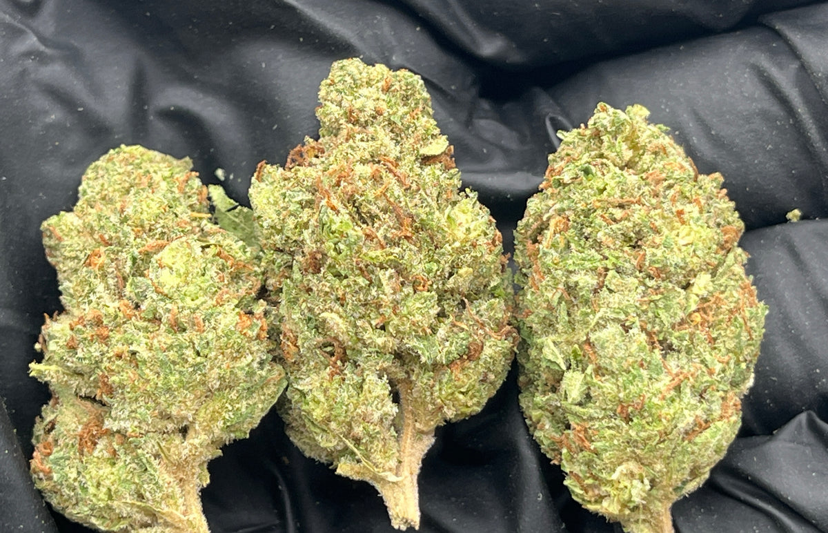 Grease Monkey (Deps Plus) flower photo