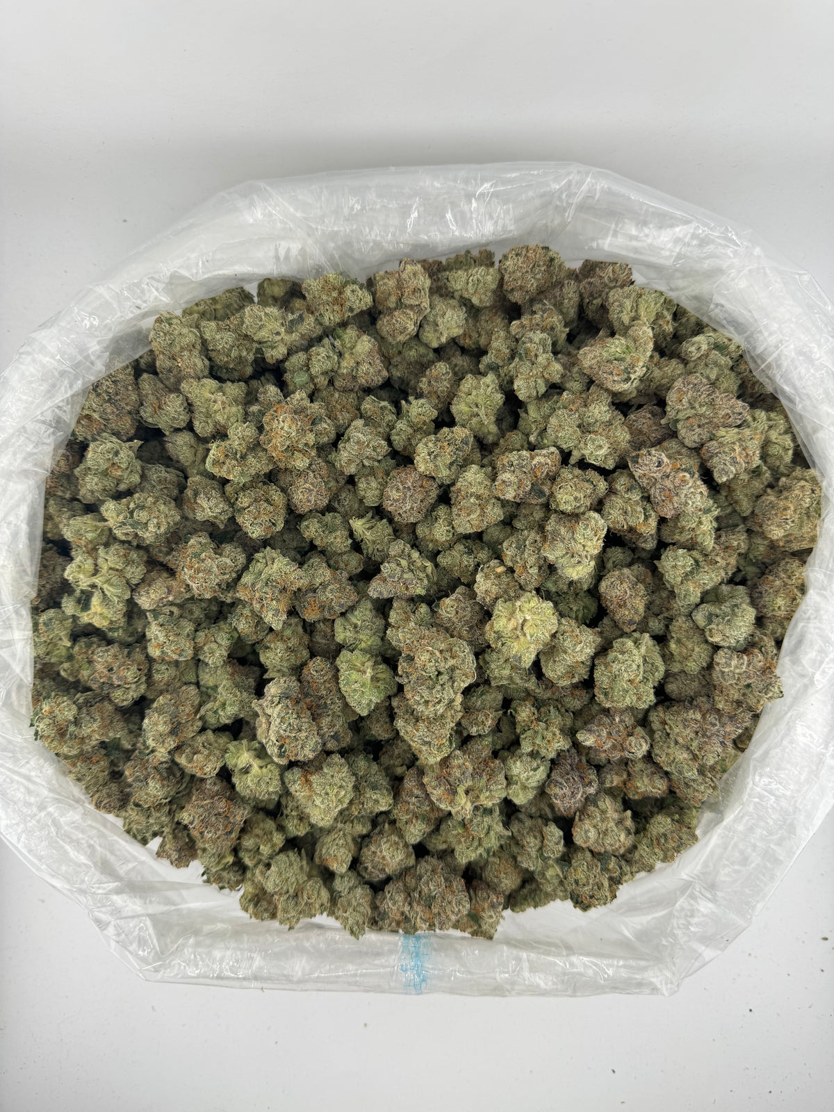 Blue Runtz (Indoor Plus) bag photo