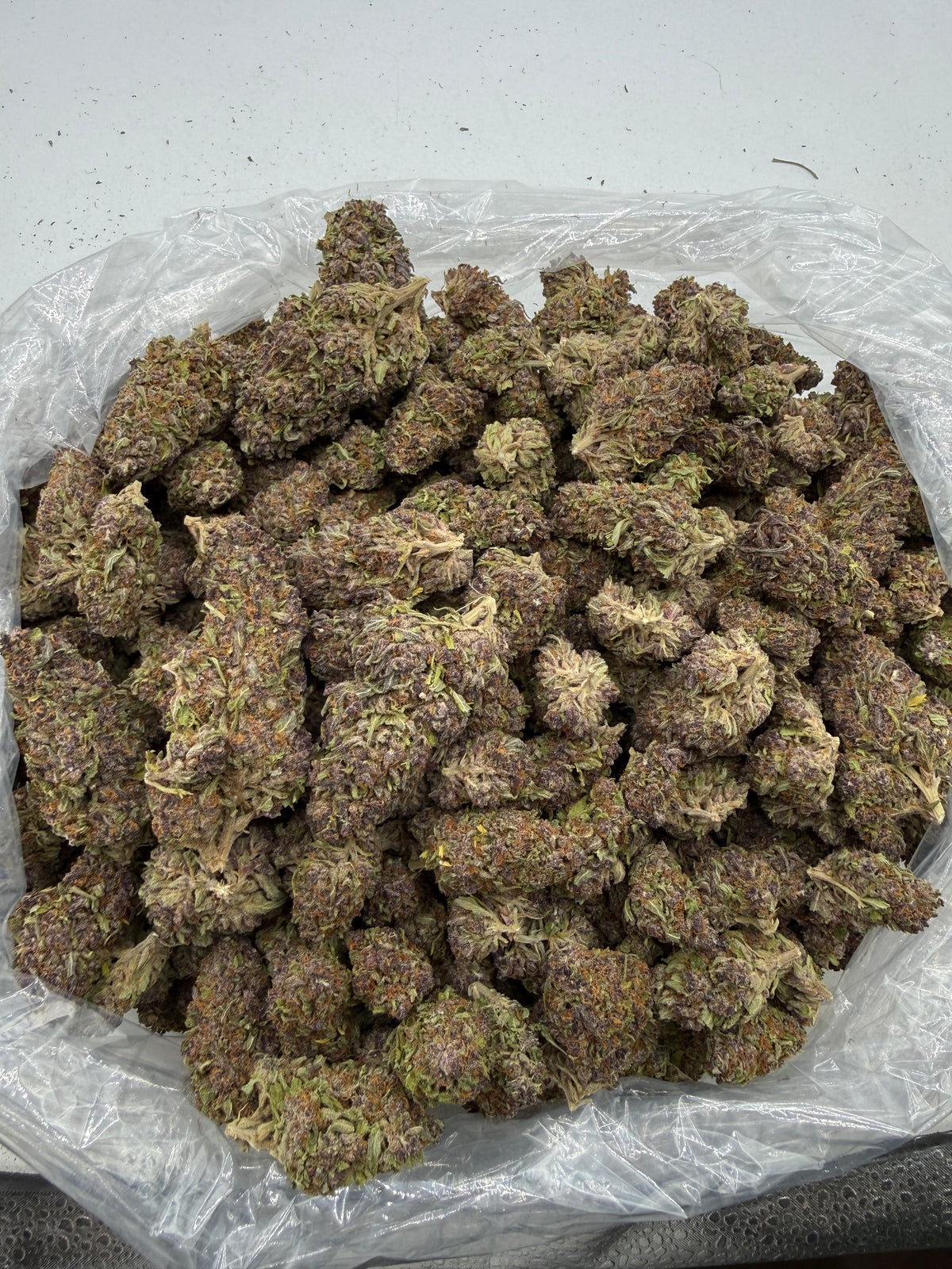 Queen Of The South (Deps) bag photo