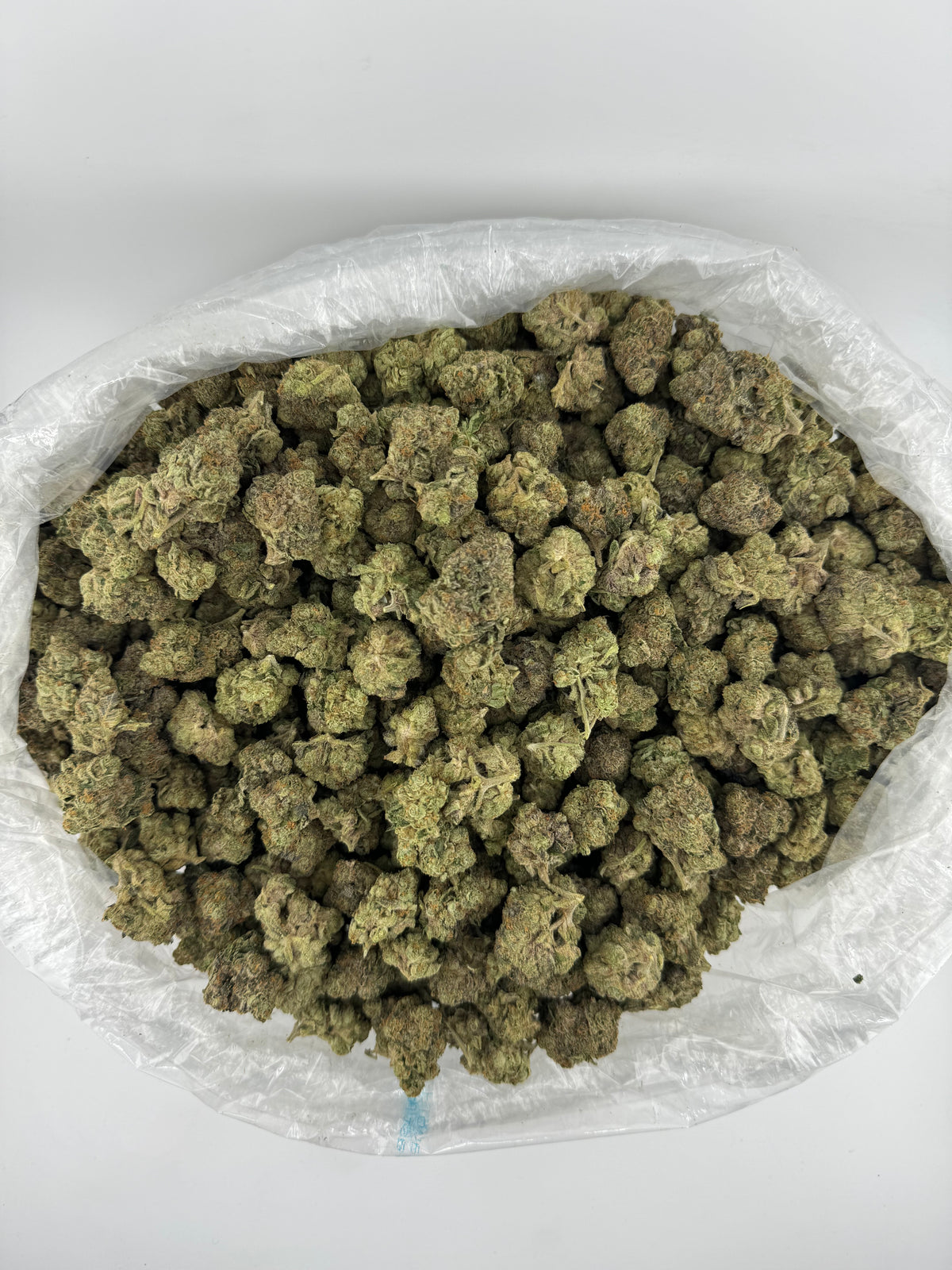 Gary Payton (Indoor) bag photo
