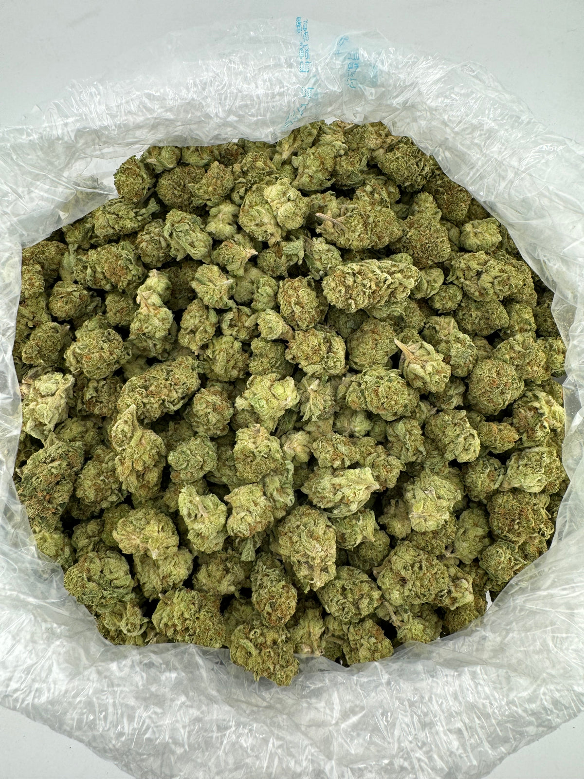 Gelato 41 (Indoor) bag photo