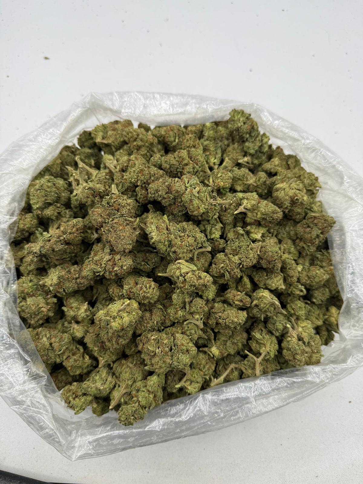 Gelato (Lows) bag photo