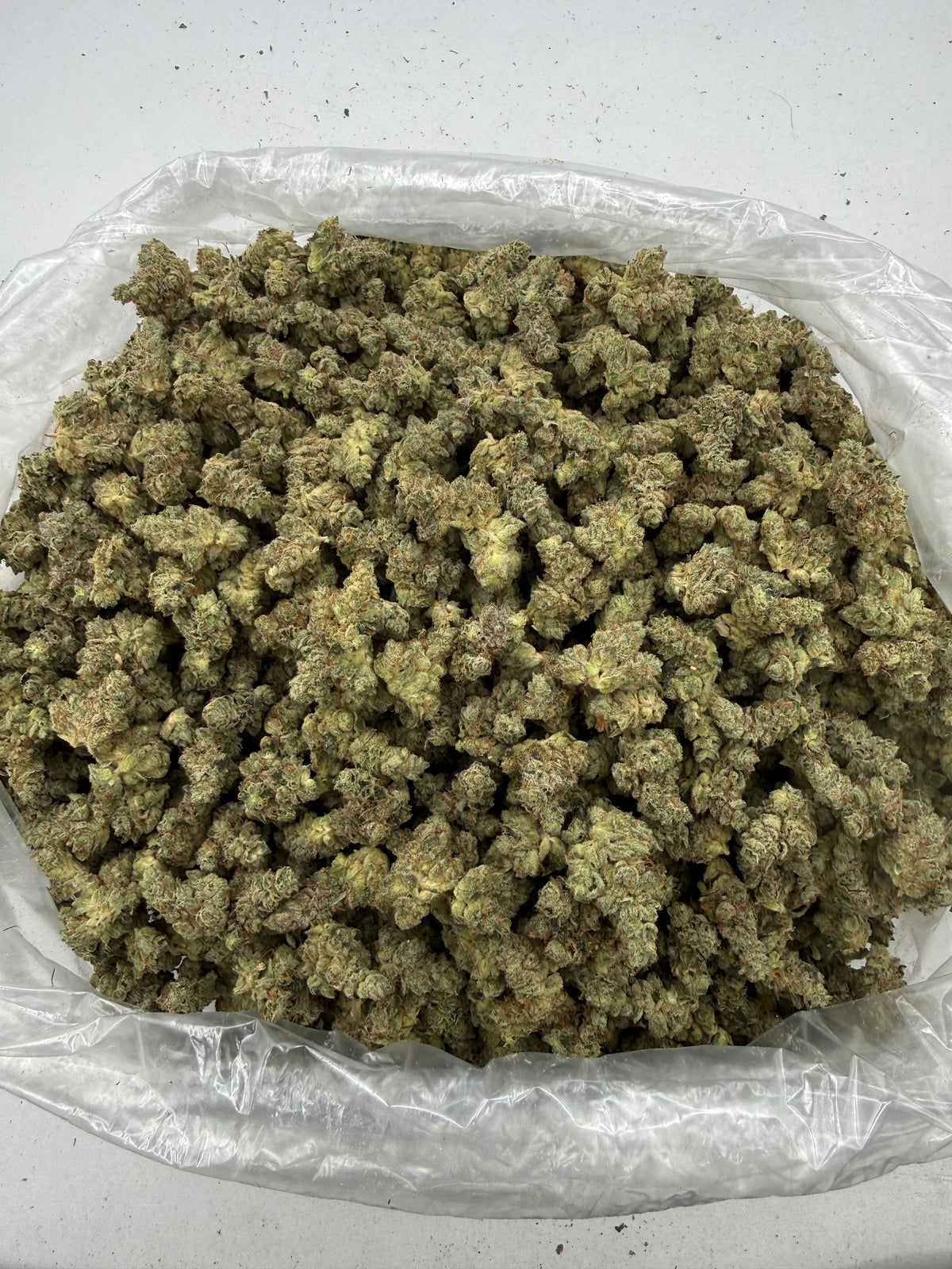 Gorilla Glue bag photo
