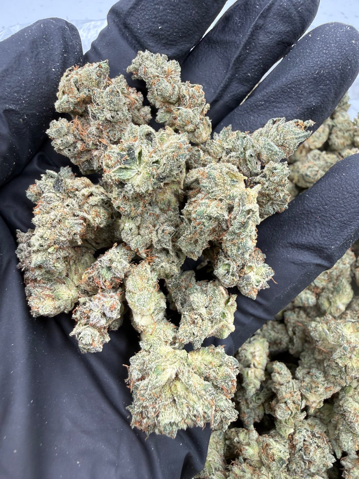 Gorilla Glue nugs photo