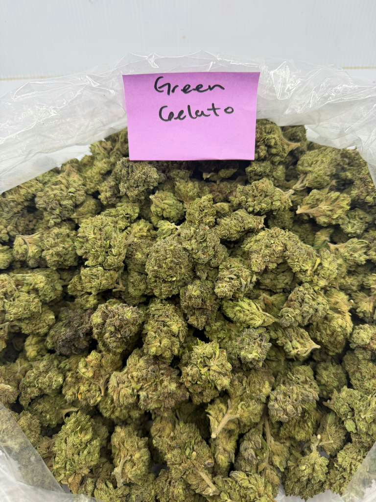 GREEN GELATO flower photo 1