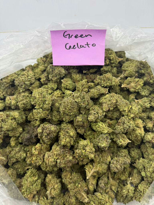 GREEN GELATO flower photo 1