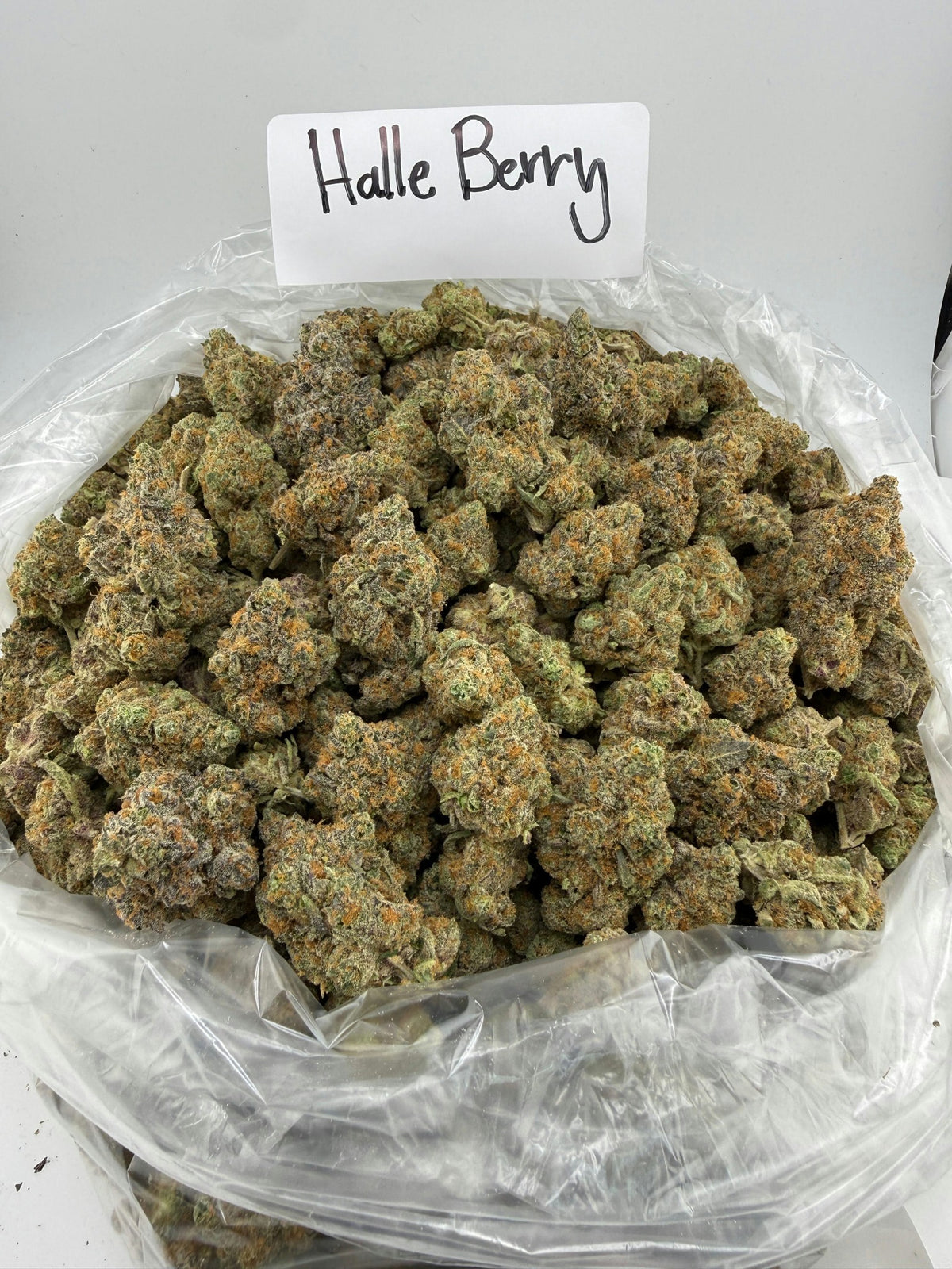 HALLE BERRY flower photo 1
