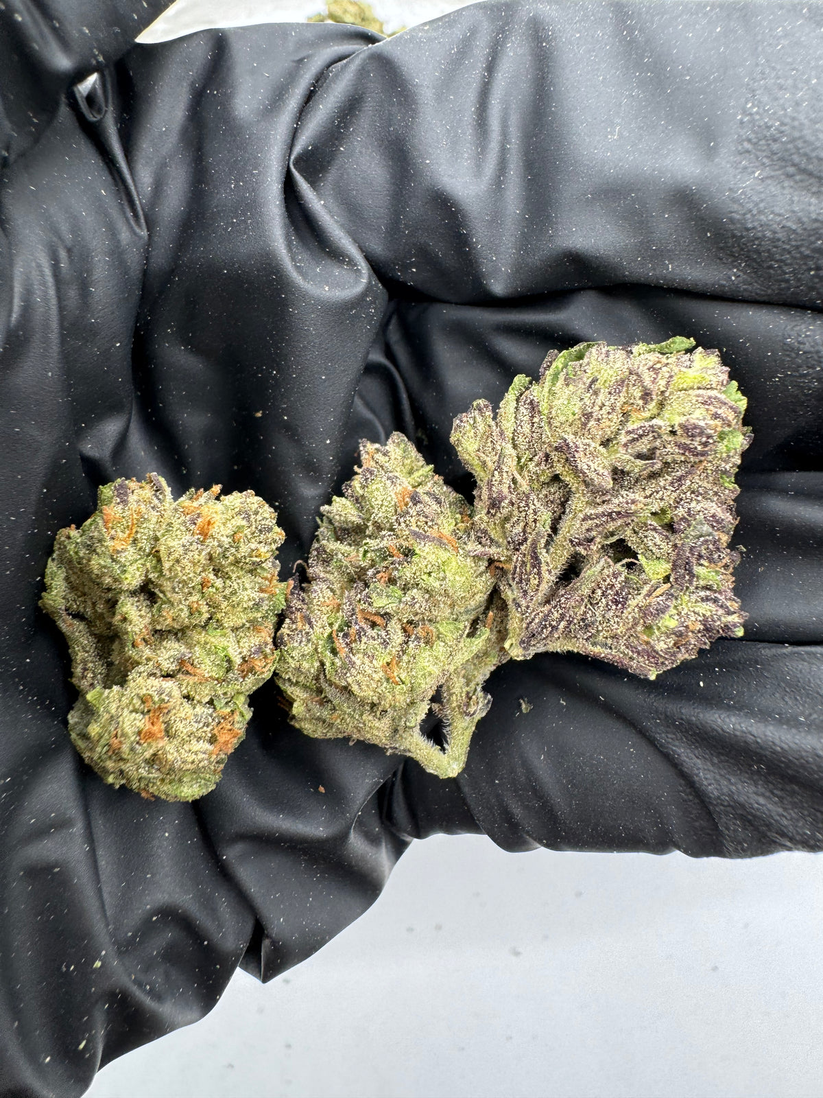 Jelly Zonut nugs photo