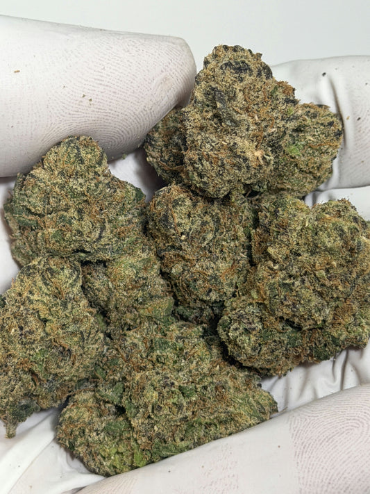 Lemon Cherry Gelato flower photo 1