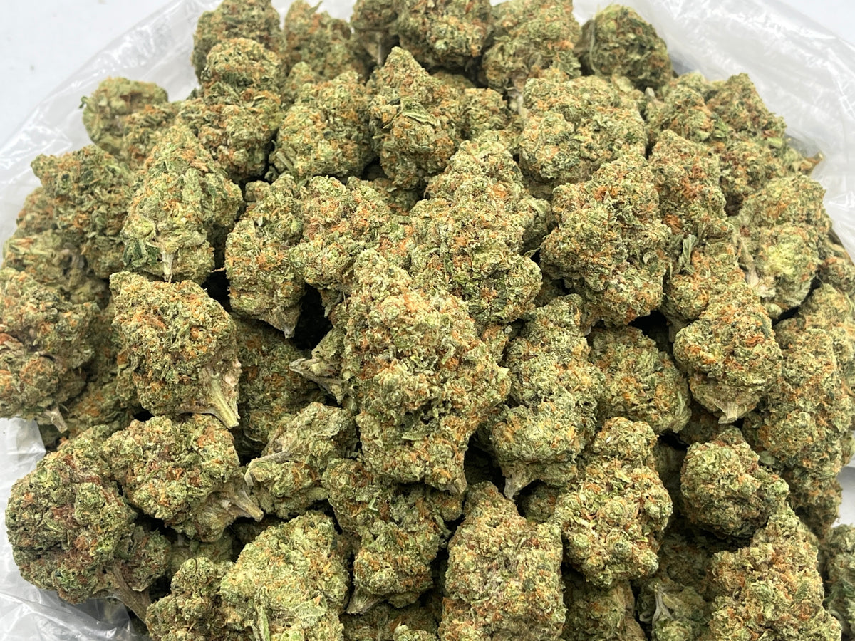 Orange Bang (Indoor Plus) bag photo