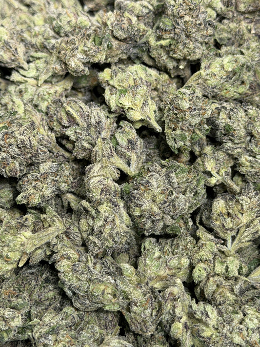 PRESIDENTIAL RUNTZ flower photo 1