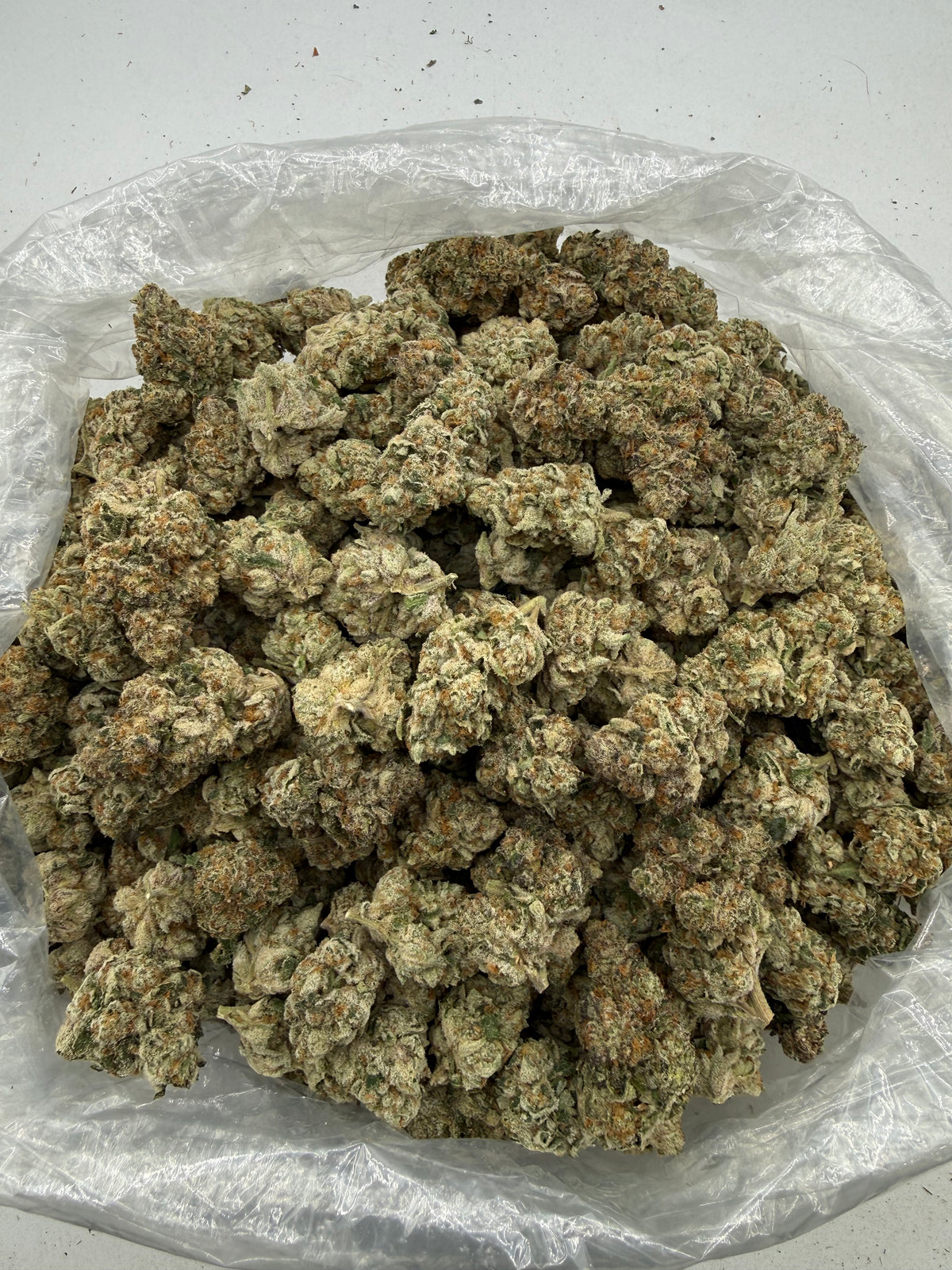 Rainbow Blast (Indoor Plus) bag photo