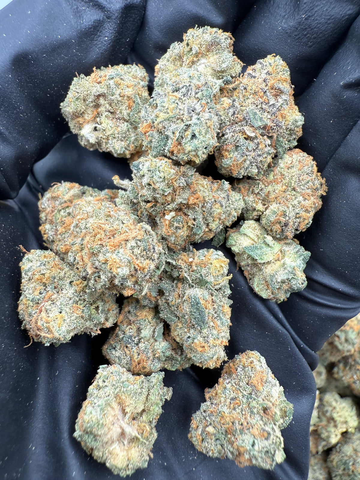 Soaps (Smalls) flower photo