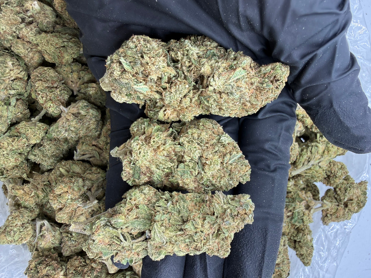 Sour Pez (Lows) flower photo