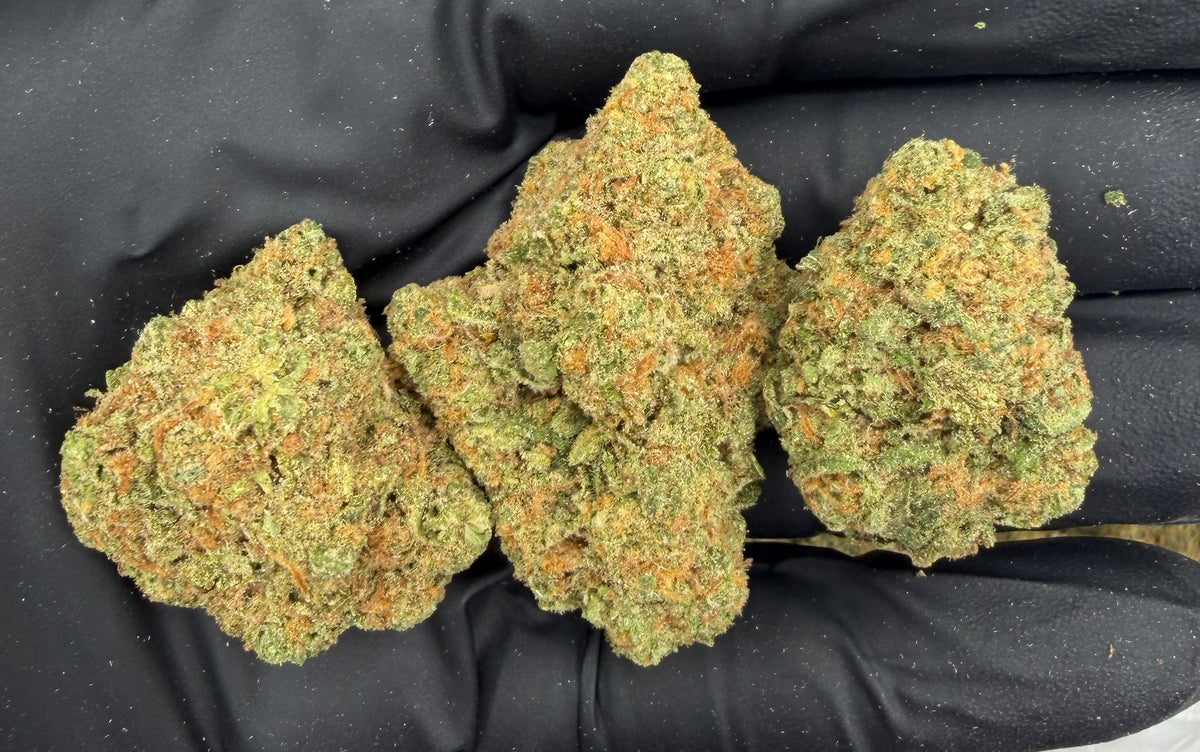 Strawberry Haze (Indoor 7) flower photo